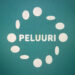 Peluuri-logo